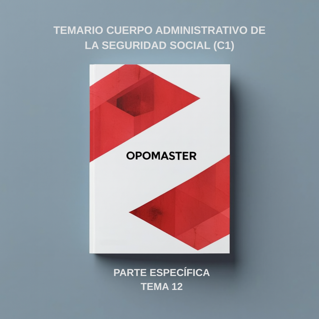 OEP C1 SS - PARTE ESPECÍFICA. Tema 12